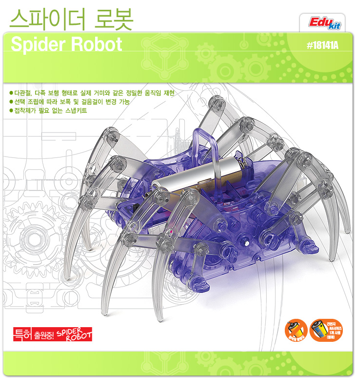 spider_view(4).jpg